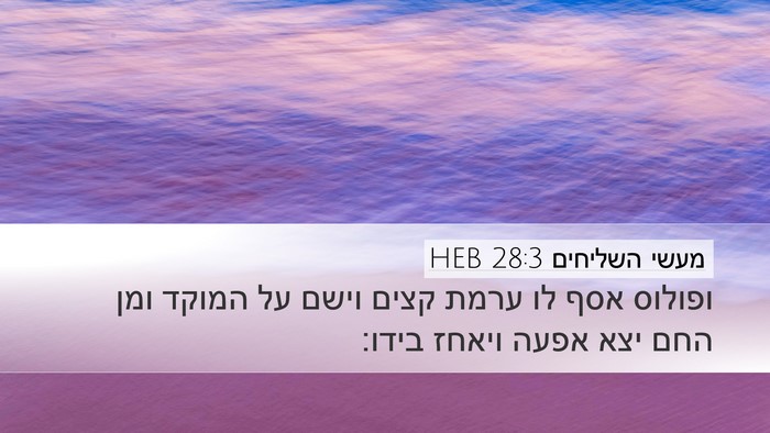 מעשי השליחים 28:3 HEB Bible Verse Image