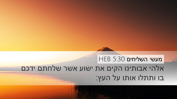 מעשי השליחים 5:30 HEB Bible Verse Image