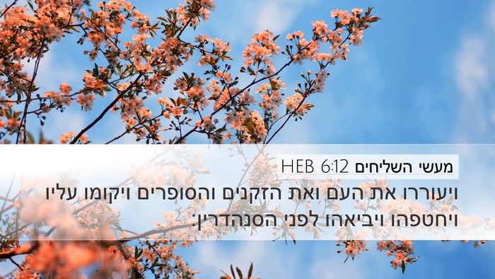 מעשי השליחים 6:12 HEB Bible Verse Image