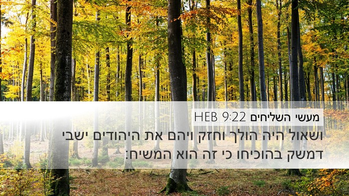 מעשי השליחים 9:22 HEB Bible Verse Image