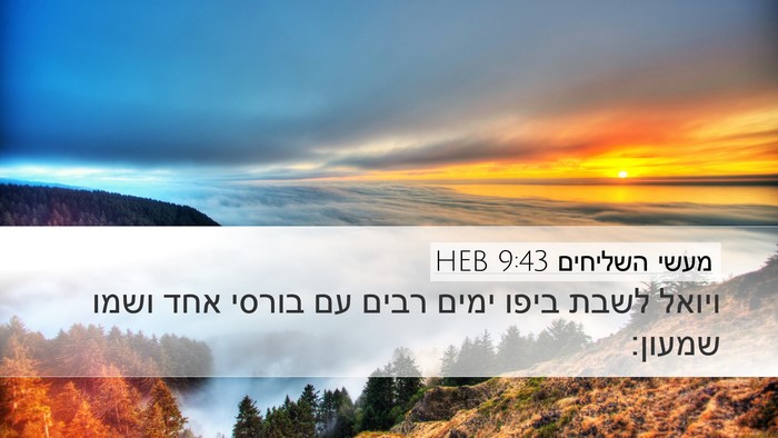 מעשי השליחים 9:43 HEB Bible Verse Image