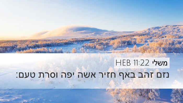 משלי 11:22 HEB Desktop Wallpaper - נזם זהב באף חזיר אשה יפה - Desktop Bible Verse Wallpaper
