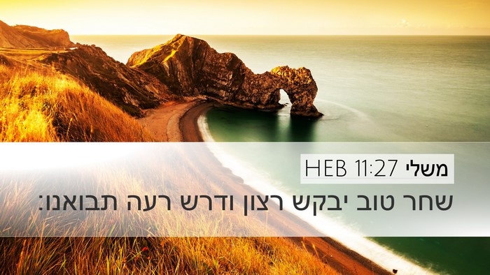 משלי 11:27 HEB Bible Verse Image