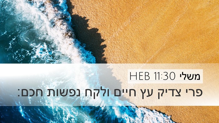 משלי 11:30 HEB Bible Verse Image