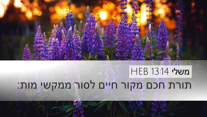 משלי 13:14 HEB Bible Verse Image