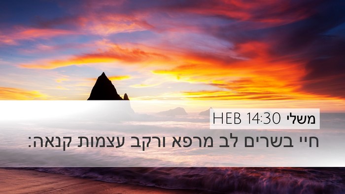 משלי 14:30 HEB Bible Verse Image