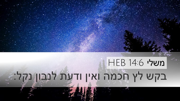 משלי 14:6 HEB Bible Verse Image
