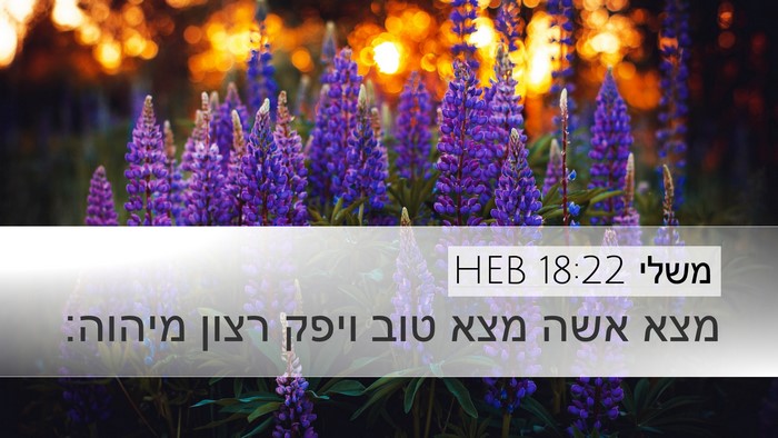 משלי 18:22 HEB Bible Verse Image