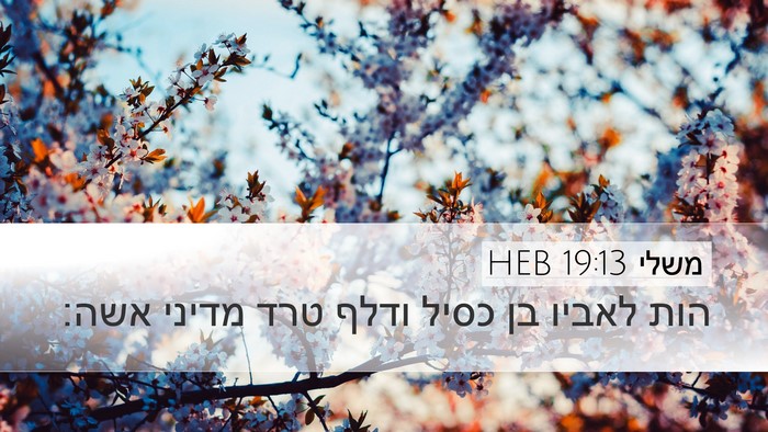 משלי 19:13 HEB Desktop Wallpaper - הות לאביו בן כסיל ודלף טרד - Desktop Bible Verse Wallpaper