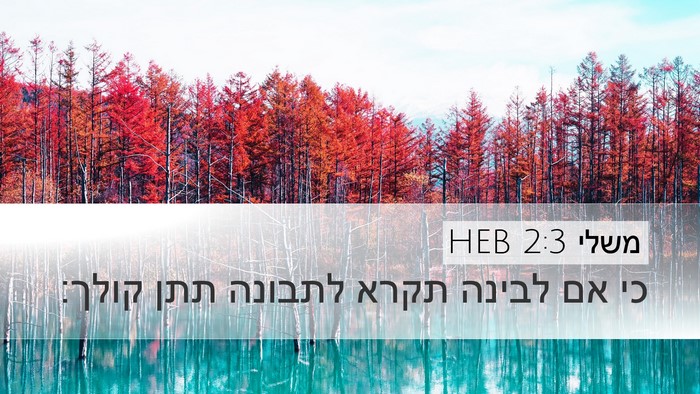 משלי 2:3 HEB Bible Verse Image