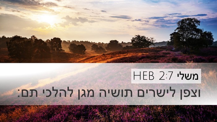 משלי 2:7 HEB Bible Verse Image