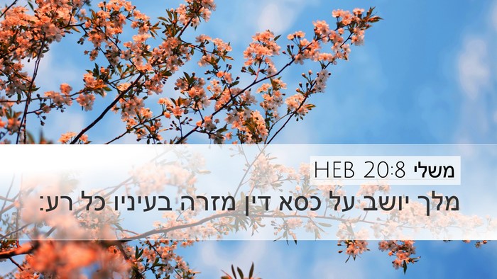 משלי 20:8 HEB Bible Verse Image