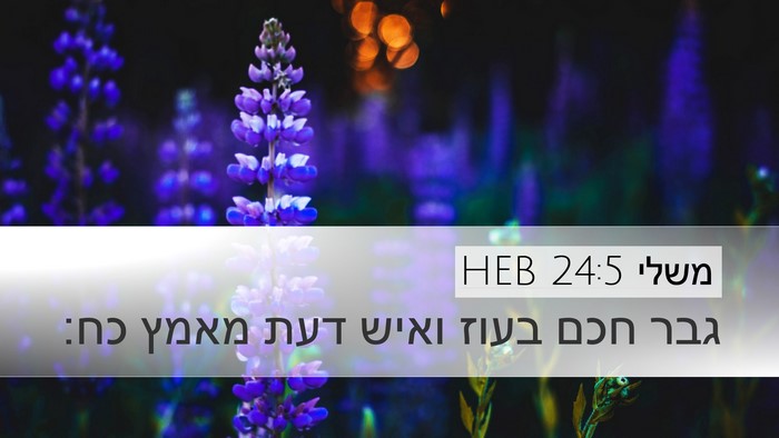 משלי 24:5 HEB Bible Verse Image