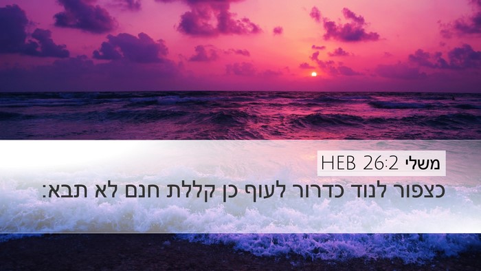 משלי 26:2 HEB Bible Verse Image