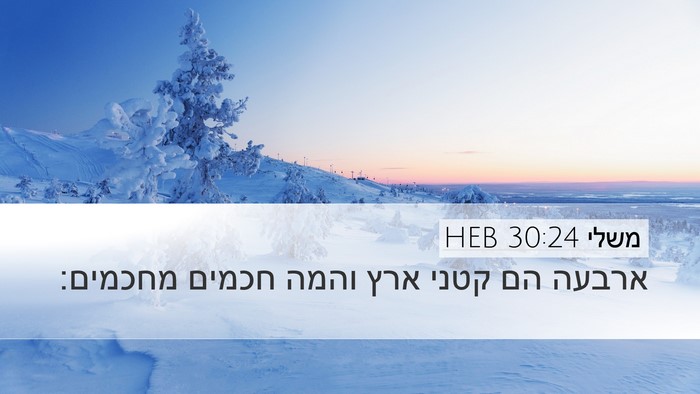 משלי 30:24 HEB Bible Verse Image
