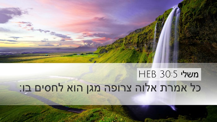 משלי 30:5 HEB Bible Verse Image