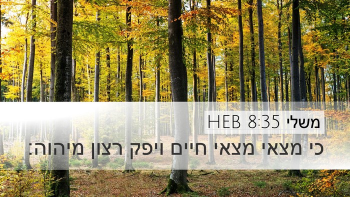 משלי 8:35 HEB Bible Verse Image