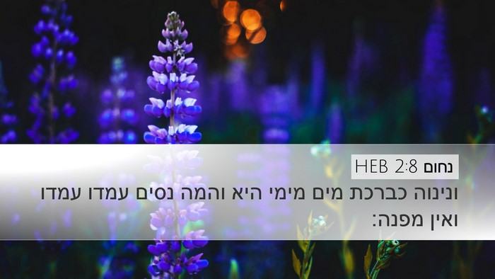 נחום 2:8 HEB Bible Verse Image