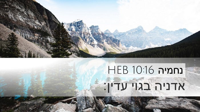 נחמיה 10:16 HEB Desktop Wallpaper - אדניה בגוי - Desktop Bible Verse Wallpaper