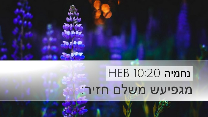 נחמיה 10:20 HEB Bible Verse Image