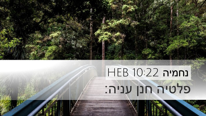נחמיה 10:22 HEB Desktop Wallpaper - פלטיה חנן - Desktop Bible Verse Wallpaper