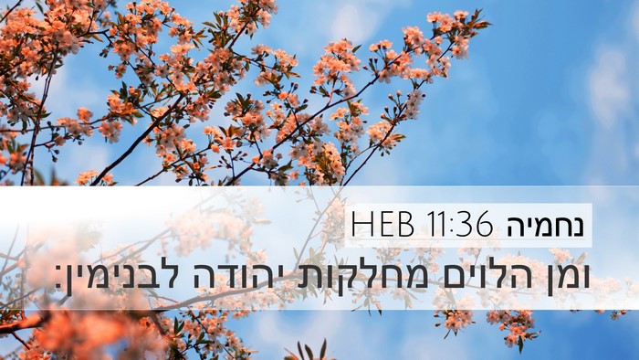 נחמיה 11:36 HEB Desktop Wallpaper - ומן הלוים מחלקות יהודה - Desktop Bible Verse Wallpaper