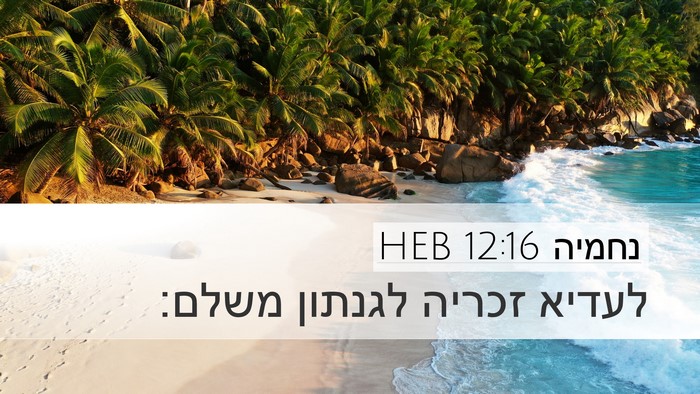 נחמיה 12:16 HEB Bible Verse Image