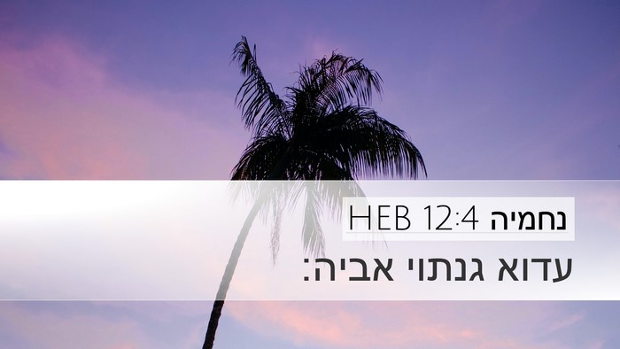 נחמיה 12:4 HEB Bible Verse Image