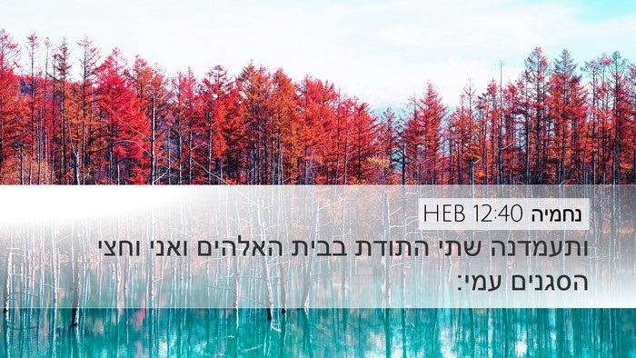 נחמיה 12:40 HEB Desktop Wallpaper - ותעמדנה שתי התודת בבית - Desktop Bible Verse Wallpaper