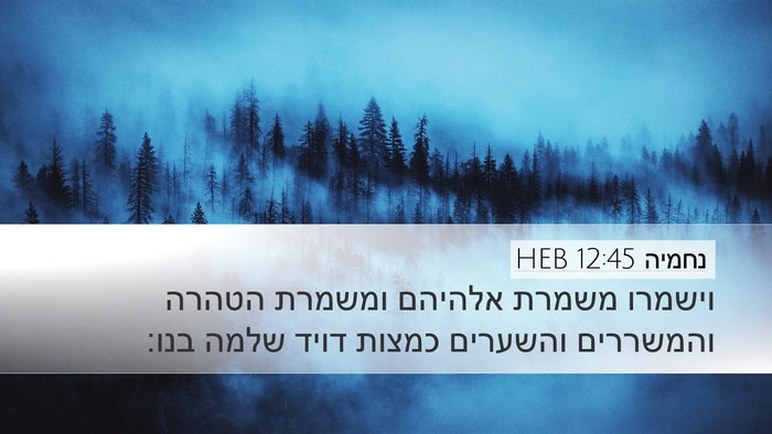 נחמיה 12:45 HEB Bible Verse Image