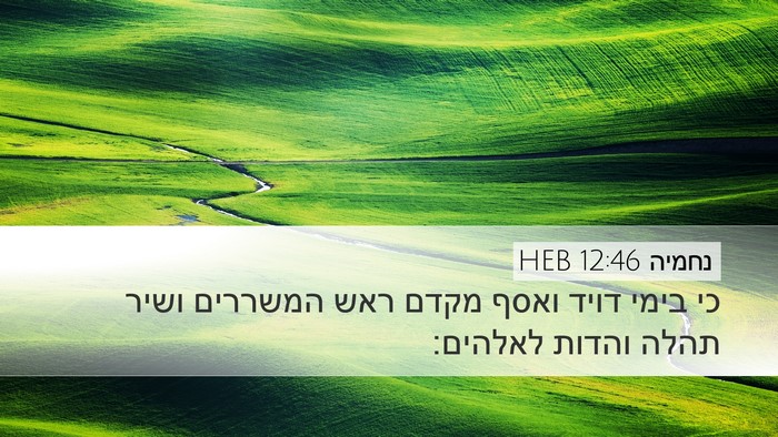 נחמיה 12:46 HEB Desktop Wallpaper - כי בימי דויד ואסף מקדם ראש - Desktop Bible Verse Wallpaper