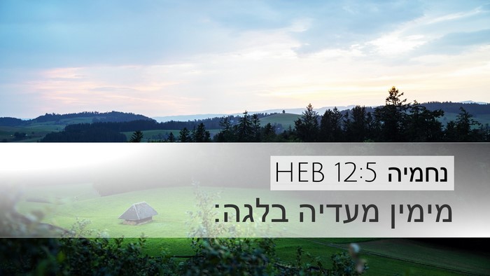נחמיה 12:5 HEB Bible Verse Image