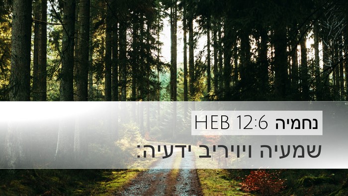 נחמיה 12:6 HEB Bible Verse Image