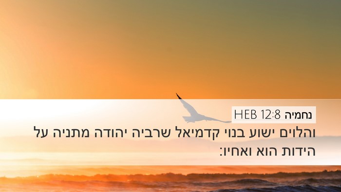 נחמיה 12:8 HEB Bible Verse Image