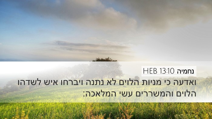 נחמיה 13:10 HEB Bible Verse Image