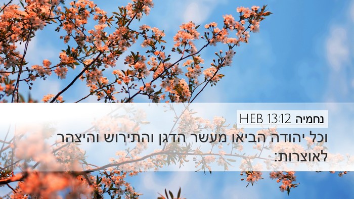 נחמיה 13:12 HEB Bible Verse Image
