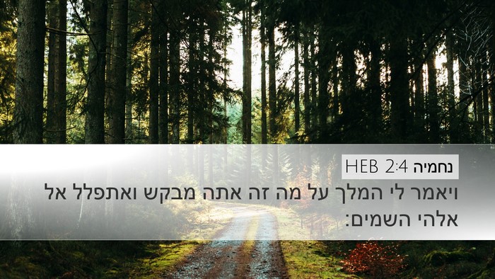 נחמיה 2:4 HEB Bible Verse Image