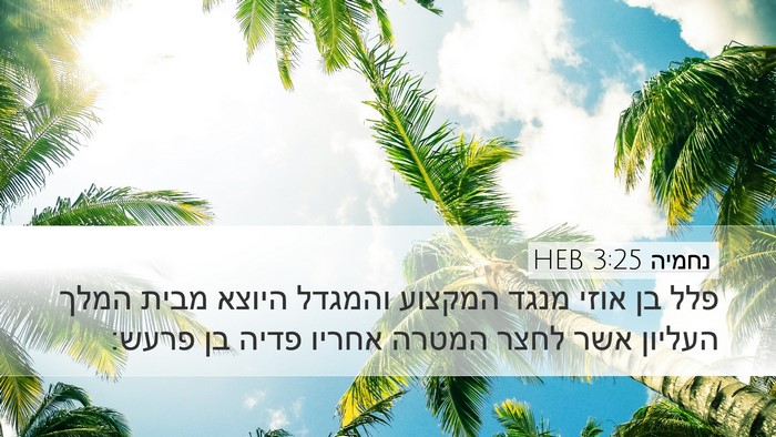 נחמיה 3:25 HEB Bible Verse Image