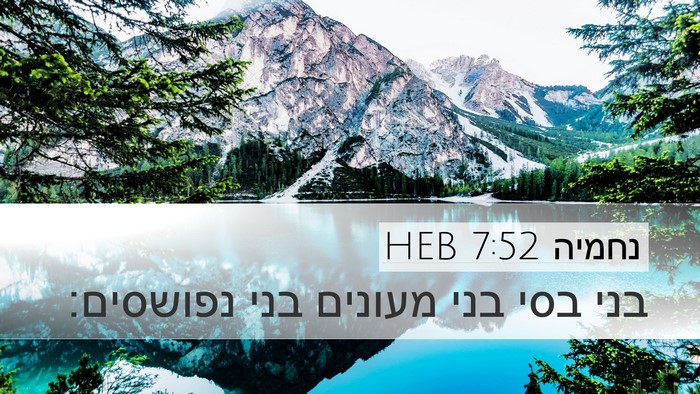 נחמיה 7:52 HEB Desktop Wallpaper - בני בסי בני מעונים בני - Desktop Bible Verse Wallpaper