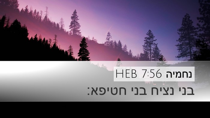 נחמיה 7:56 HEB Desktop Wallpaper - בני נציח בני - Desktop Bible Verse Wallpaper
