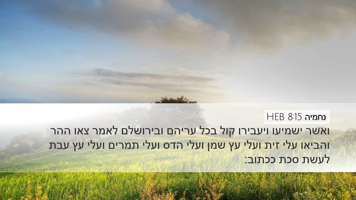 נחמיה 8:15 HEB Bible Verse Image