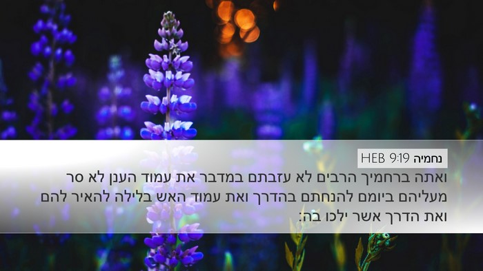 נחמיה 9:19 HEB Bible Verse Image