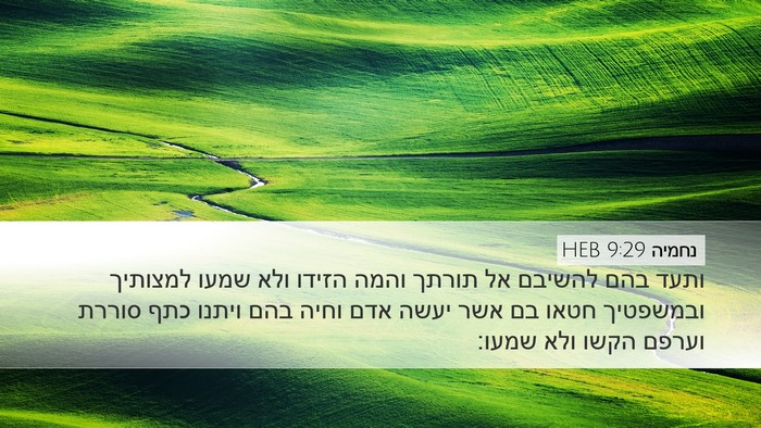 נחמיה 9:29 HEB Bible Verse Image
