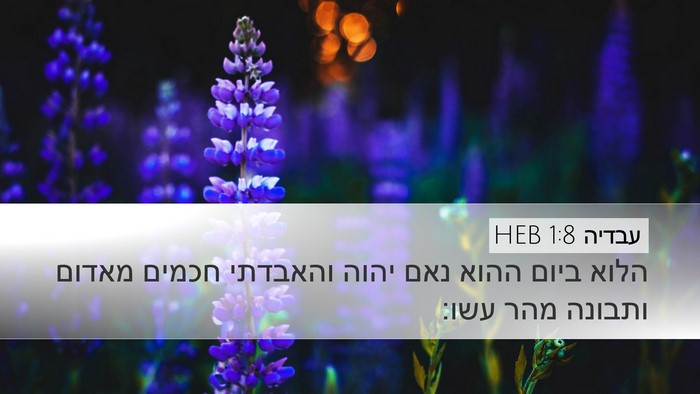 עבדיה 1:8 HEB Desktop Wallpaper - הלוא ביום ההוא נאם יהוה - Desktop Bible Verse Wallpaper