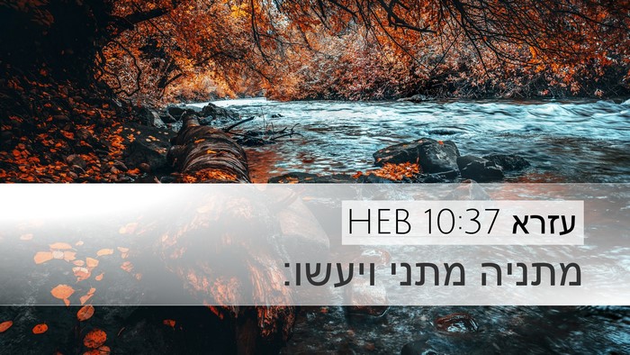 עזרא 10:37 HEB Desktop Wallpaper - מתניה מתני - Desktop Bible Verse Wallpaper