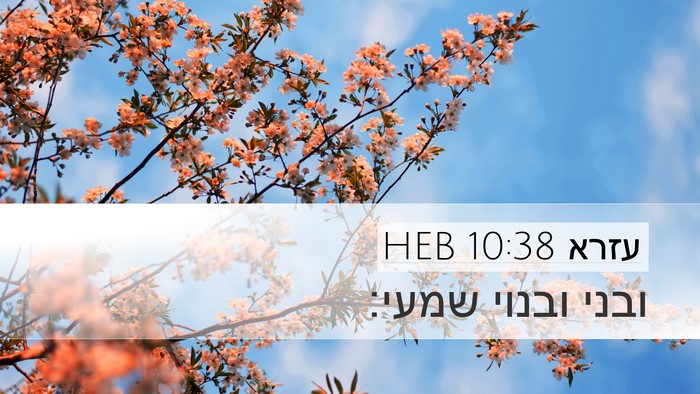 עזרא 10:38 HEB Desktop Wallpaper - ובני ובנוי - Desktop Bible Verse Wallpaper