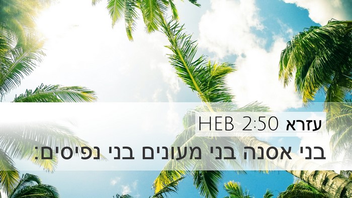 עזרא 2:50 HEB Bible Verse Image