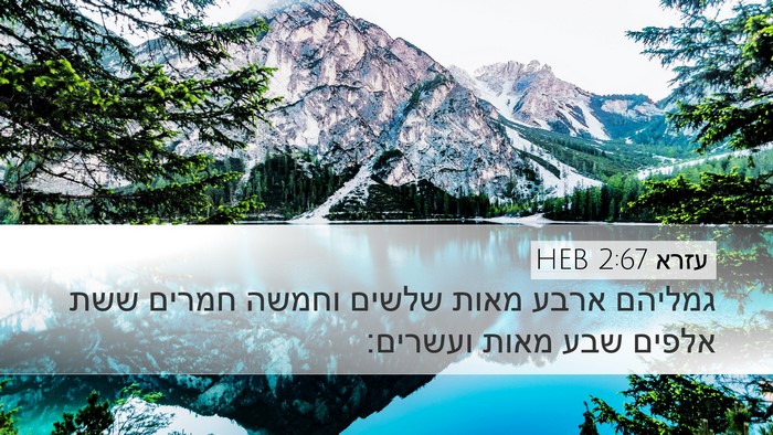 עזרא 2:67 HEB Desktop Wallpaper - גמליהם ארבע מאות שלשים - Desktop Bible Verse Wallpaper