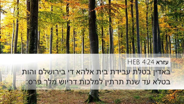 עזרא 4:24 HEB Bible Verse Image