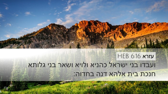 עזרא 6:16 HEB Bible Verse Image